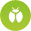 bug